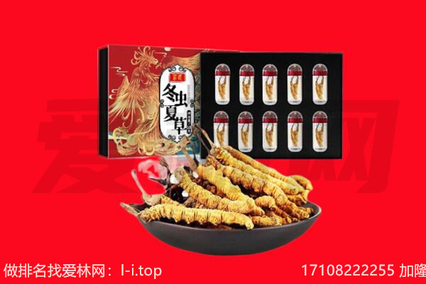 贺州回收虫草.jpg